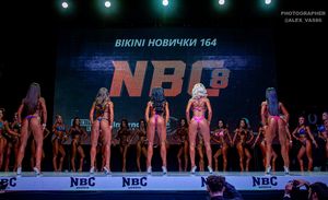 BIKINI НОВИЧКИ 164